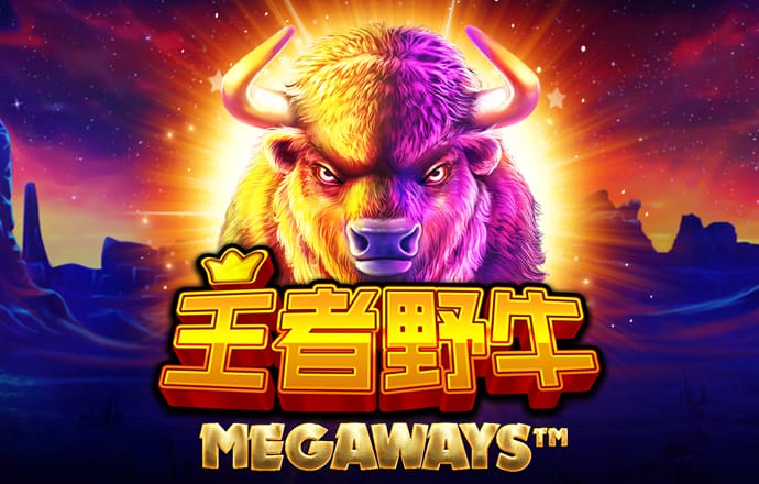 小猪沙狐球